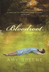 Amy Greene - Bloodroot