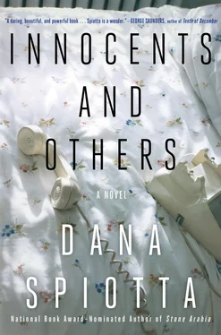 Dana Spiotta Innocents and Others обложка книги