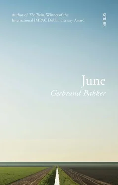 Gerbrand Bakker June обложка книги