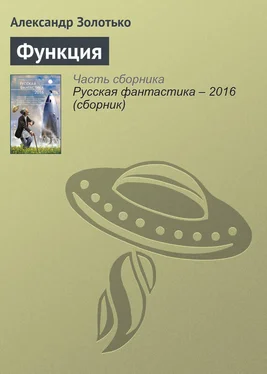 Александр Золотько Функция обложка книги