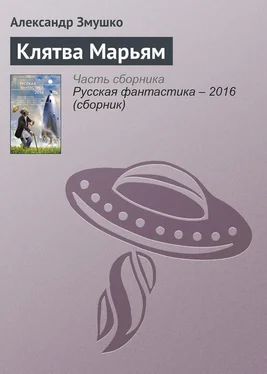 Александр Змушко Клятва Марьям обложка книги