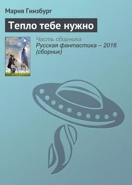 Мария Гинзбург Тепло тебе нужно обложка книги