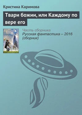 Кристина Каримова Твари божии, или Каждому по вере его обложка книги