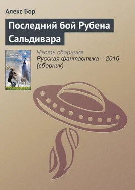 Алекс Бор Последний бой Рубена Сальдивара обложка книги