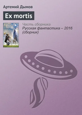 Артемий Дымов Ex mortis обложка книги