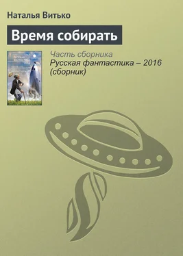 Наталья Витько Время собирать обложка книги