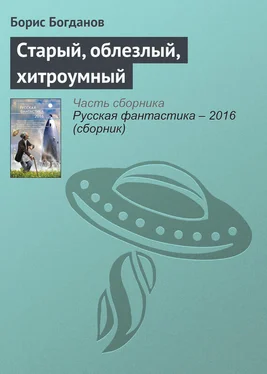 Борис Богданов Старый, облезлый, хитроумный обложка книги