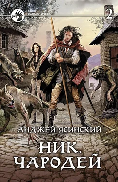 Анджей Ясинский Ник. Чародей. Том 2 обложка книги