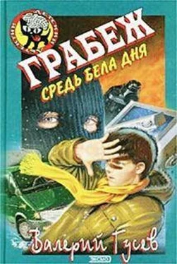 Валерий Гусев Грабеж средь бела дня обложка книги