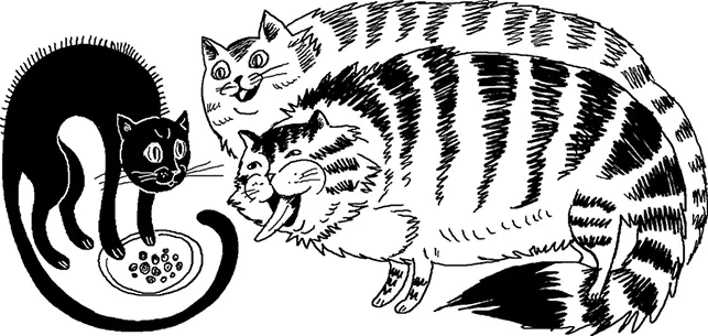 Но как оказалось беспокоилась я напрасно Мне не стоило забывать что Лаки - фото 51