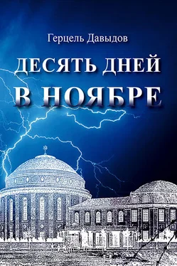 Герцель Давыдов Десять дней в ноябре обложка книги