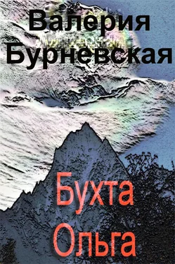 Валерия Бурневская Бухта Ольга обложка книги