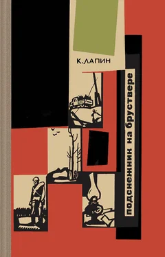 Константин Лапин Подснежник на бруствере обложка книги