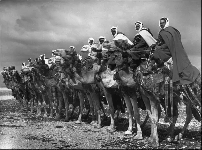 Колониальные войска Верблюжий батальон Сирия 1940 г Вторжение англичан в - фото 8