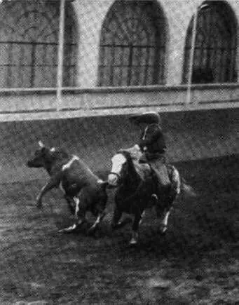 Если у чарро нет в руках лассо он все равно усмирит быка На предвыборный - фото 25