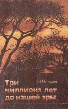 Геральд Матюшин Три миллиона лет до нашей эры обложка книги