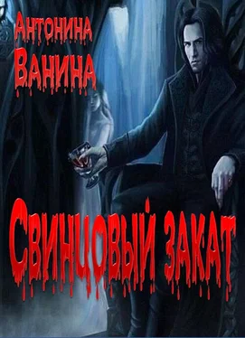 Антонина Ванина Свинцовый закат обложка книги