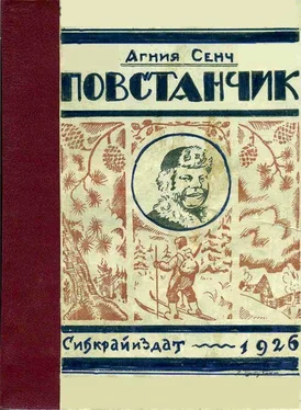 Агния Сенч Повстанчик обложка книги