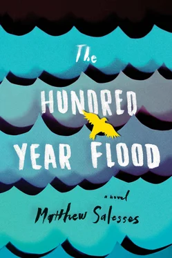 Matthew Salesses The Hundred-Year Flood обложка книги