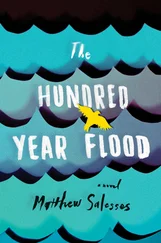 Matthew Salesses - The Hundred-Year Flood