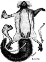 E rasmus held a caribou skin in his lap scanning it in the dim light until he - фото 9