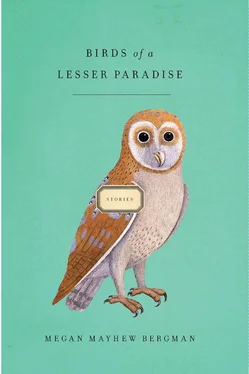 Megan Bergman Birds of a Lesser Paradise: Stories обложка книги