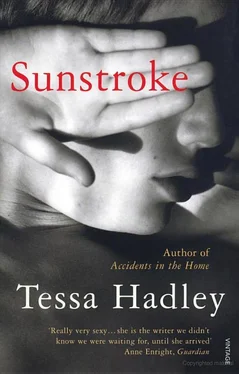 Tessa Hadley Sunstroke and Other Stories обложка книги