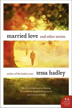 Tessa Hadley Married Love and Other Stories обложка книги