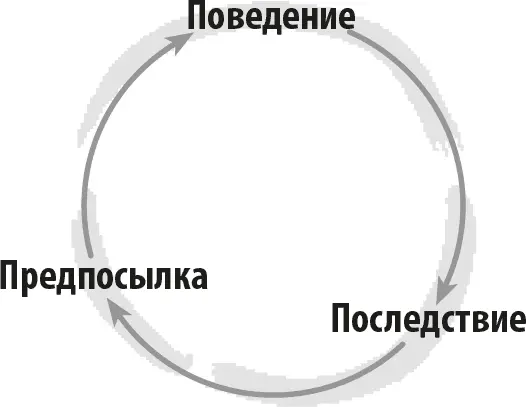 Предпосылка стимул который непосредственно вызывает поведение Поведение - фото 2