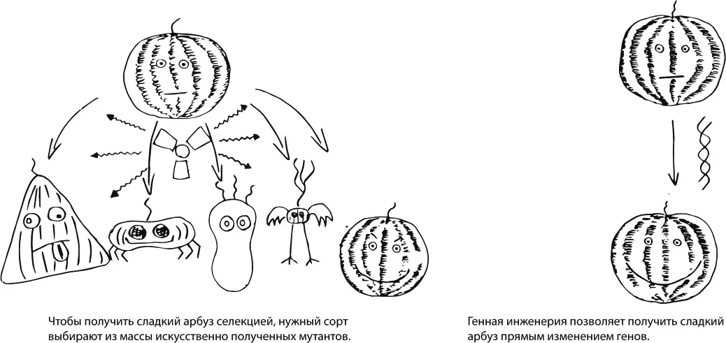 Интересно что риторика противников ГМО повидимому практически не изменилась - фото 12