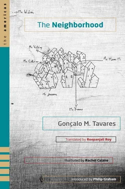 Gonçalo Tavares The Neighborhood обложка книги