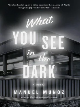 Manuel Munoz What You See in the Dark обложка книги