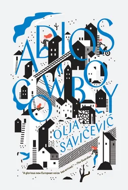 Olja Savicevic Adios, Cowboy обложка книги