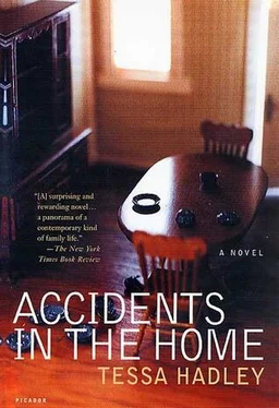 Tessa Hadley Accidents in the Home обложка книги