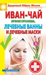 Антонина Соколова - Иван-чай. Лечение организма, лечебные ванны и лечебные маски