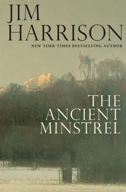 Jim Harrison The Ancient Minstrel обложка книги