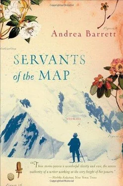 Andrea Barrett Servants of the Map обложка книги