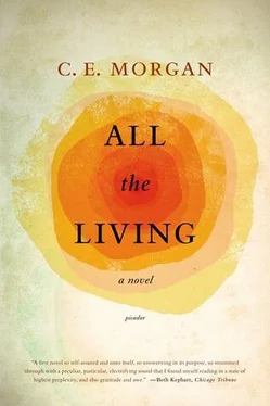 C. Morgan All the Living обложка книги