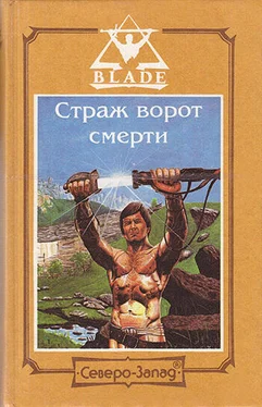 Дмитрий Дворкин Страж ворот смерти обложка книги