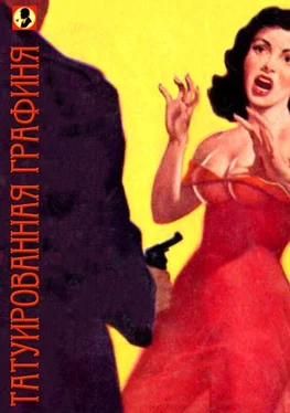 Г. Авело Татуированная графиня или чрезвычайное приключение сыщика Джим-Джо обложка книги