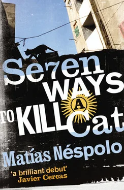 Matias Nespolo Seven Ways to Kill a Cat обложка книги