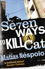 Matias Nespolo - Seven Ways to Kill a Cat