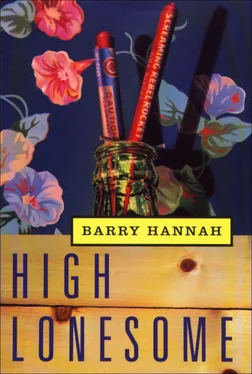 Barry Hannah High Lonesome обложка книги