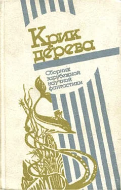 Джей Уилльямс Хищник обложка книги