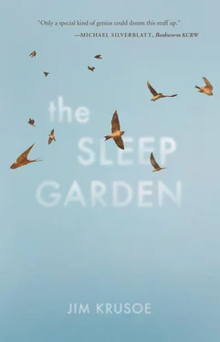 Jim Krusoe The Sleep Garden обложка книги