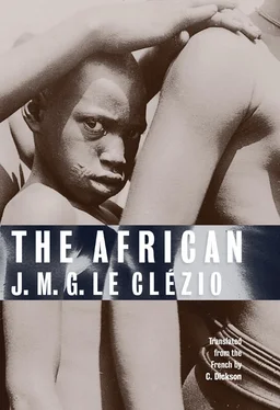 Jean-Marie Le Clézio The African обложка книги