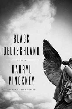 Darryl Pinckney Black Deutschland обложка книги