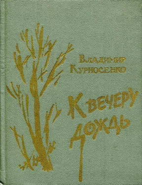 Владимир Курносенко К вечеру дождь обложка книги