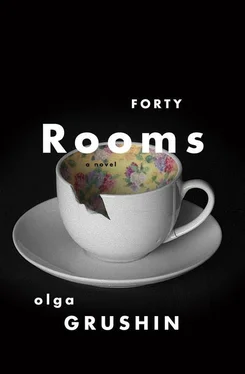 Olga Grushin Forty Rooms обложка книги