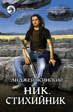 Анджей Ясинский Ник. Стихийник обложка книги